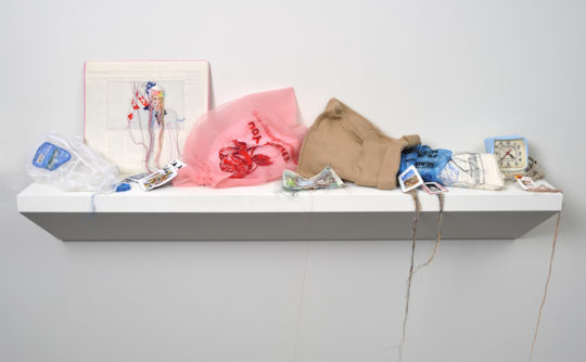 Lauren DiCioccio, Still Life, Installation shot at Yerba Buena Centre for the Arts, 2010