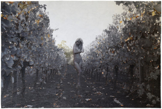 Neroli Henderson, Glimmer, 2015, 140.5 x 95.5cm, photography (artist’s own), giclée print on silk, stitching with ultra fine 100wt threads, metal transfer foil, trapunto
