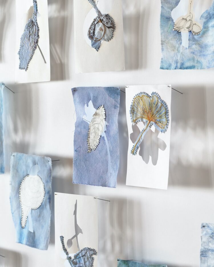Merill Comeau, Archive of Specimens, 2022. 150cm x 210cm (60" x 84"). Drawing, collage, cutting, hand embroidery. Repurposed cloth, paper, thread, insect pins. Photo: Will Howcroft Photography.