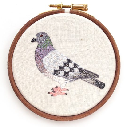 Chloe Redfern: Pigeon, 2018, Hand embroidery with stranded cotton threads