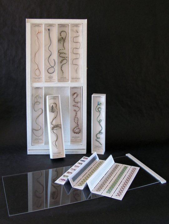 Marilyn Rathbone: Kumihimo Viperidae Cabinets (Detail), 2007, silk & metallic thread, coloured pencil on paper, grey board, Kraft paper / Kumihimo, book & box making