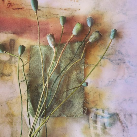 Caroline Hyde-Brown: Seed Heads (Detail), 2018, Poppy seed heads, eco-dyed paper and fabric
