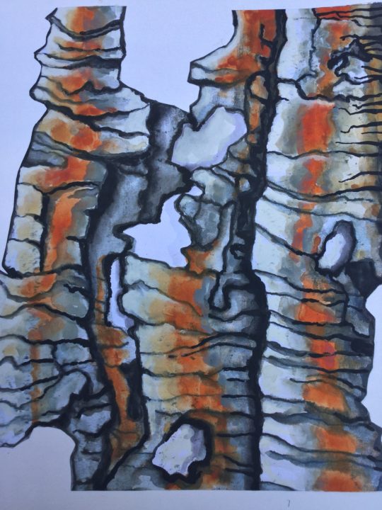 Jean Draper: Grotesque Burned Trees - Ink and Watercolours