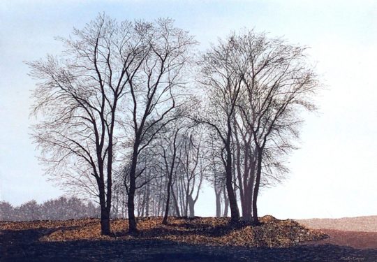 Malin Lager: Trees Halland, 1984, Fabric Thread Machine Embroidery