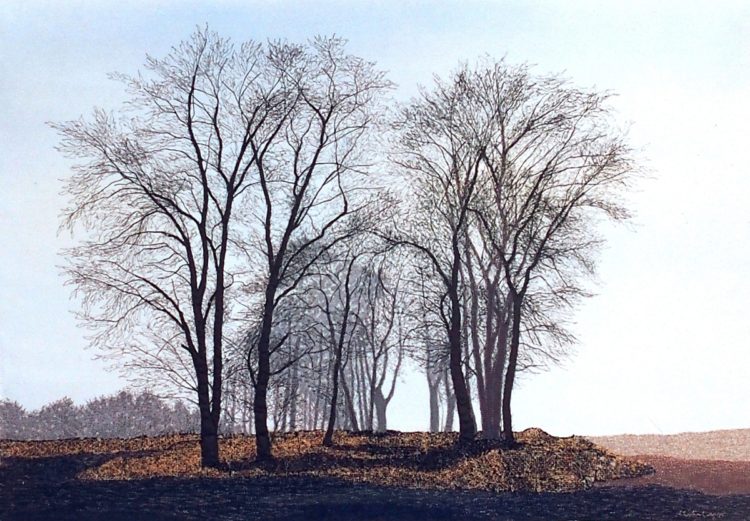 Malin Lager: Trees Halland, 1984, Fabric Thread  Machine Embroidery