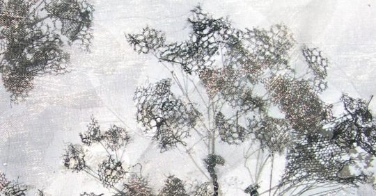 Julia van den Bosch: Hedge parsley on Ham lands, 2015, 40 cm W x 60 cm H, Photography, water colour painting, overlaid with hand embroidery and appliqué