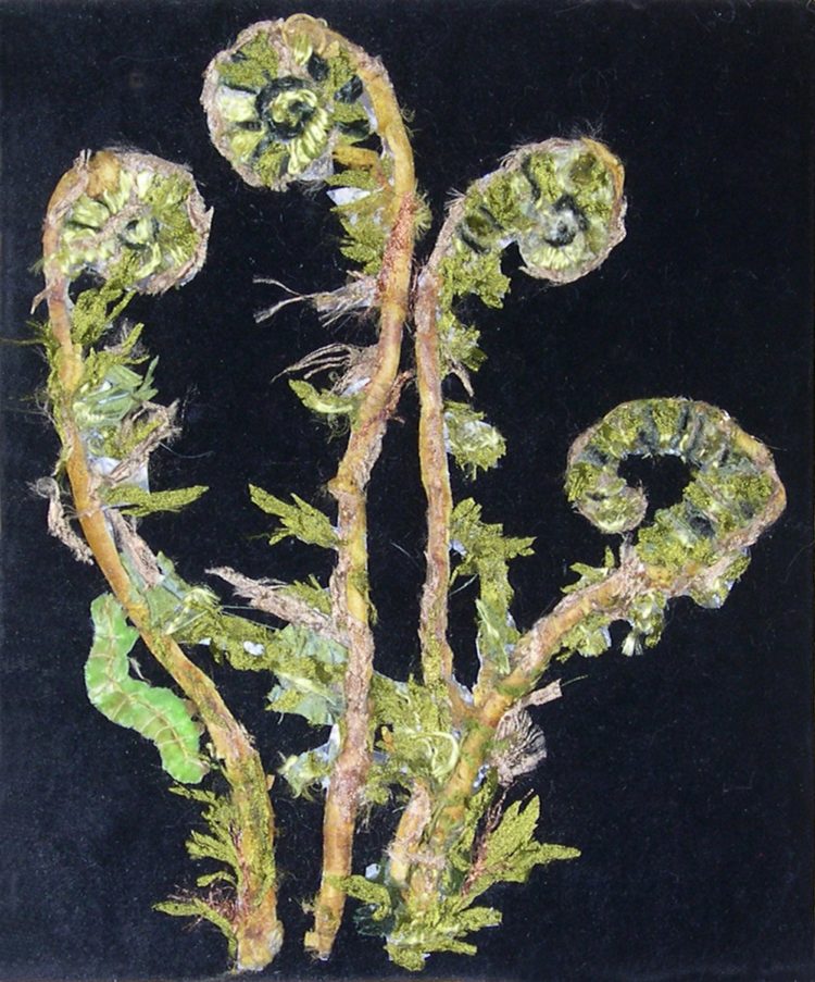 Julia van den Bosch: fern fronds, 2016, 25 cm W x 30 cm H, Photography, watercolour painting, overlaid with hand embroidery and applique