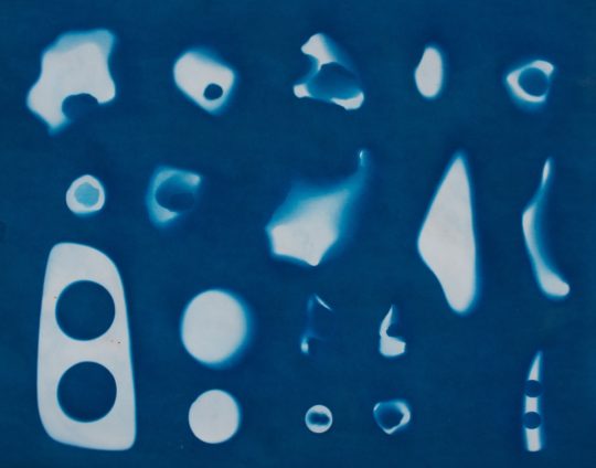 Vanessa Rolf: Cyanotypes