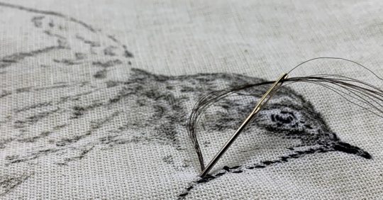 Lin Belaunde Morla: swallow embroidered with my cousin Andrea’s hair