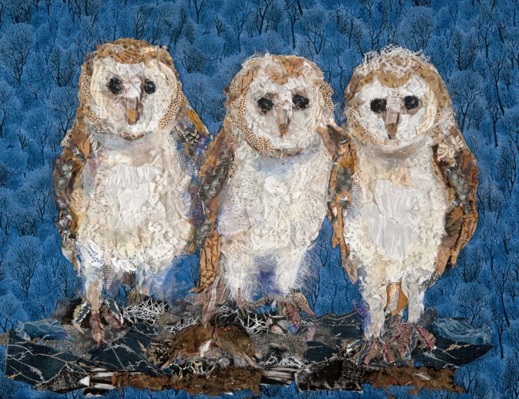 Barbara Shaw: Barn Owl Chicks (2019), 49 x 38 cm. Created from many carefully selected scraps of fabrics handstitched in layers. Inspired by a visit with a local Barn Owl group, who were checking nests and ringing youngsters. Photo credit: Brian Peart.