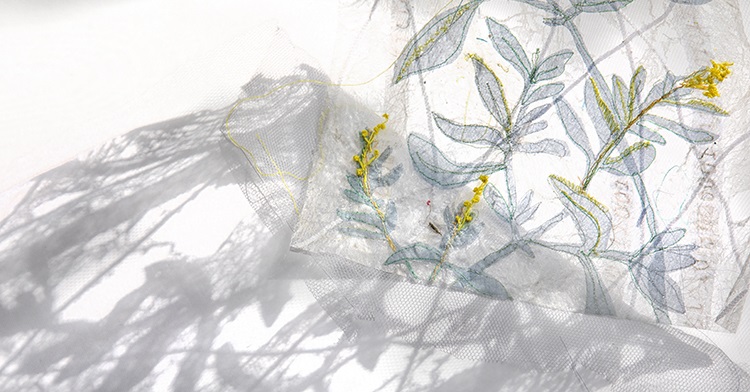 Vinny Stapley: Shades of feminine seascape