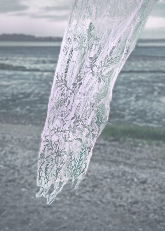 Vinny Stapley: 'Purslane Web Veil', 2020, 420mm x 1480mm, Screen-print and Embroidery on bonded fabrics & fibres