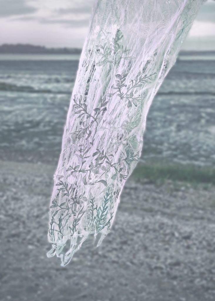 Vinny Stapley: 'Purslane Web Veil', 2020, 420mm x 1480mm, Screen-print and Embroidery on bonded fabrics & fibres