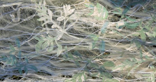 Vinny Stapley: 'Purslane Web Veil' (Detail), 2020, 420mm x 1480mm, Screen print , digital print and embroidery on bonded fibres