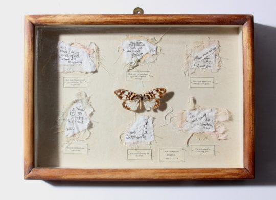 Ali Ferguson: Stolen Stories. I decided to include a butterfly in each frame