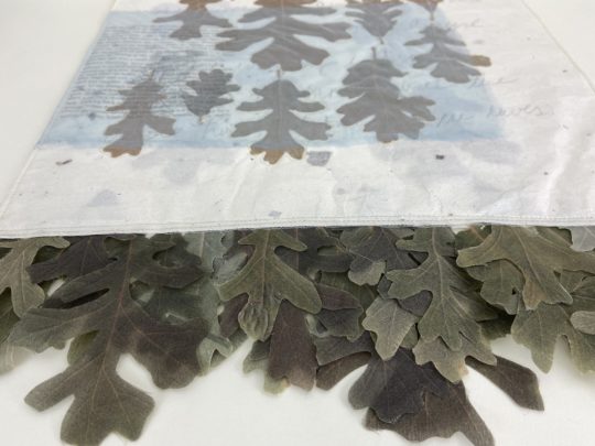 Alisa Banks: Oaks (Detail), 2016, 21" x 13", Paper, thread, fabric, graphite, pigment prints, oak leaves