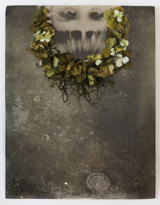 Jodi Colella: Uprooted, 2019, 24 h x 18 w inches, An original tintype that is enlarged and transferred onto aluminum and then embroidered with artificial flowers and silk threads