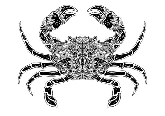 Mulyana: Kepiting, 2018, 21 x 15cm, Vignette, ink on paper