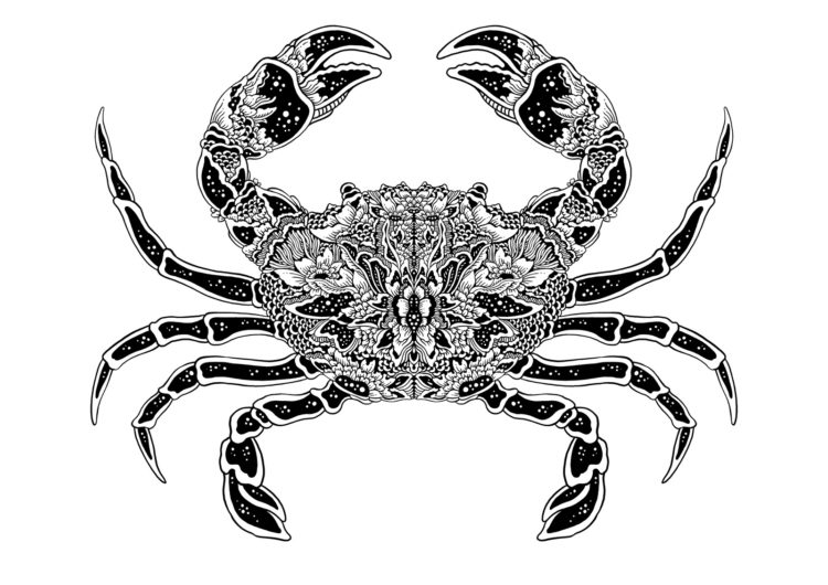 Mulyana: Kepiting, 2018, 21 x 15cm, Vignette, ink on paper