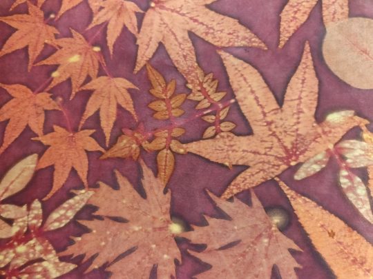 Caroline Nixon: detail from silk scarf, 2020, 45 x 180 cm, natural dye and ecoprint on silk