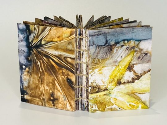 Jude Kingshott: Untitled, 2020, 15 cm x 10 cm (6 inches x 4 inches), Watercolour paper 220 gsm, eco printed with coptic binding.