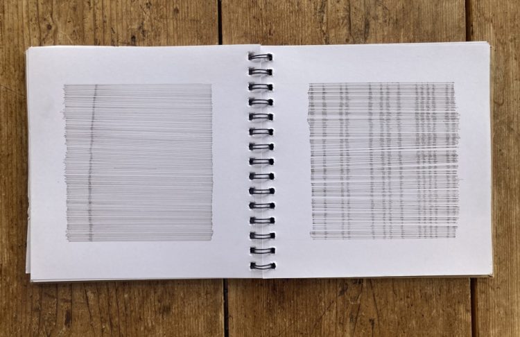Hanny Newton: Sketch Book Line Drawings. 2020