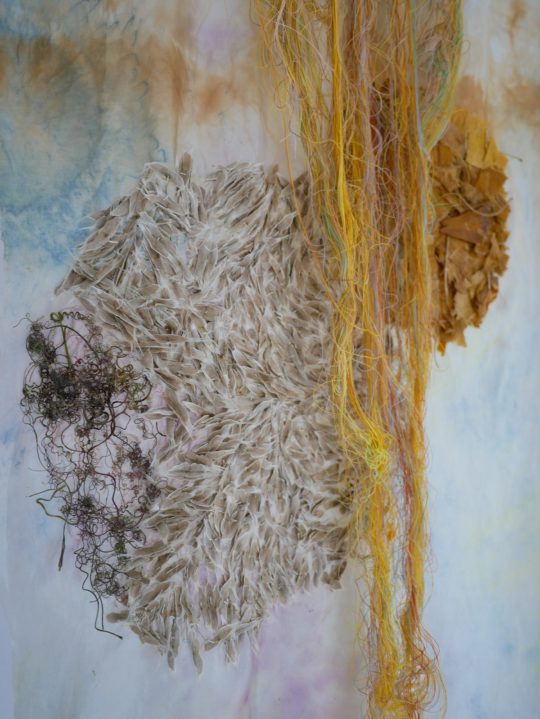 Emma Cassi: Rights of Mother Earth flags (Detail), 2019-20, 30cm x 180cm, home dyed silk with hibiscus, tea, turmeric and indigo Seeds and dried fowers hand embroidered