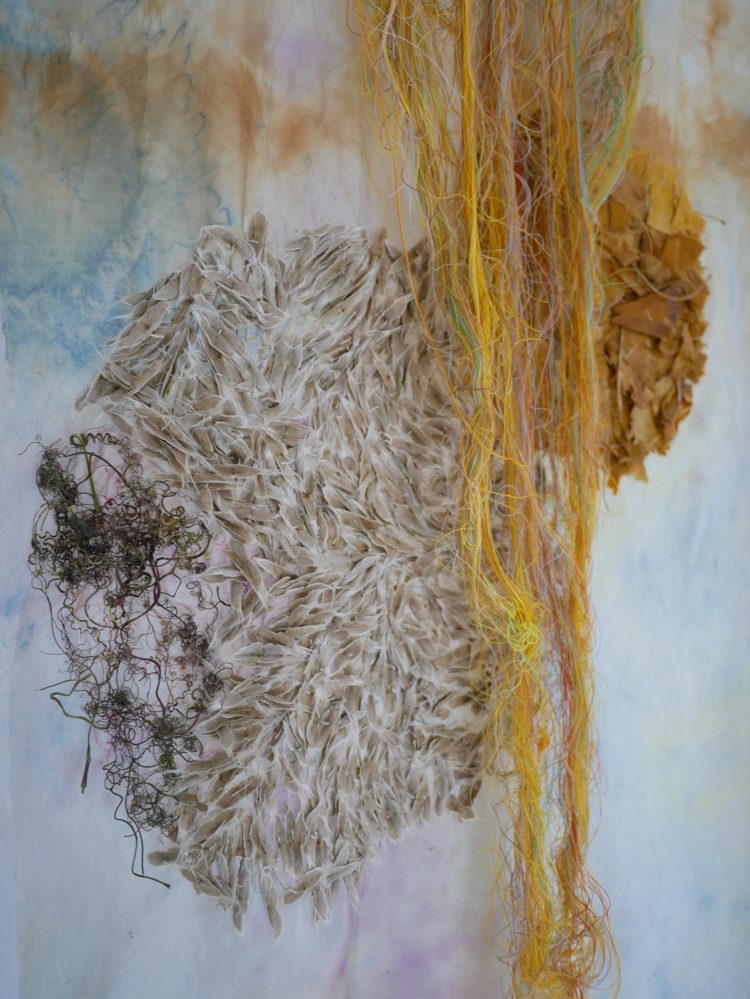 Emma Cassi: Rights of Mother Earth flags (Detail), 2019-20, 30cm x 180cm, home dyed silk with hibiscus, tea, turmeric and indigo Seeds and dried fowers hand embroidered