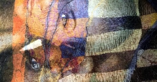 Maggie Scott, 5 Times //3, 2020. 166 cm x 119 cm. Printed silk chiffon, nuno felted and stitched.