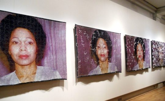Maggie Scott, Towards The End, , 2011. 4cm x 125cm x 180cm. Photo montage printed on silk chiffon, nuno felted and stitched.