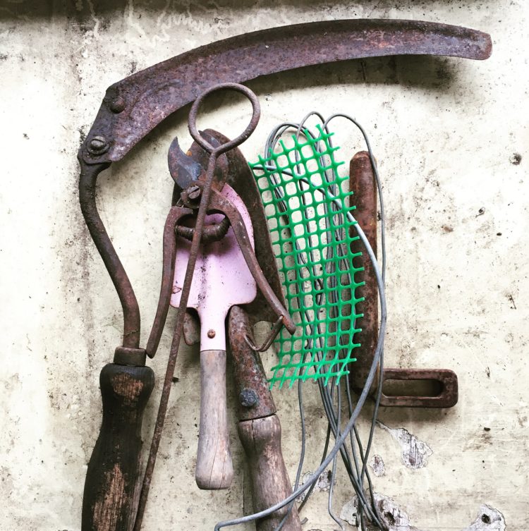 Alice Fox: Old tools found in the allotment sheds