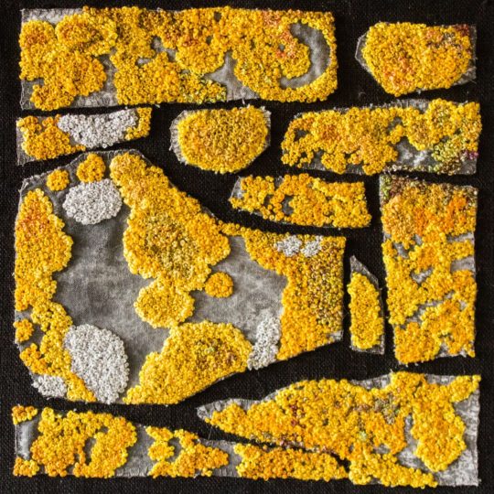 Henriette Ousbäck, The Wall, Yellow Lichen, 2017. 20cm x 20cm (8” x 8”) Embroidery floss and threads. Fabric collage and hand embroidery (French knots).
