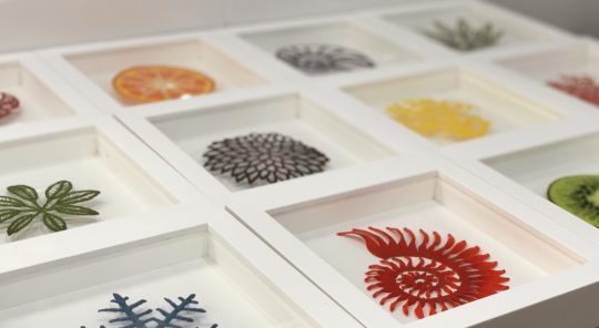 Meredith Woolnough, The 100 Embroideries Project, (select framed artworks). 2020. 100 artworks, each measuring 20cm x 20 cm (8” x 8”). Freehand machine embroidery on water-soluble fabric. Embroidery thread and pins on paper.