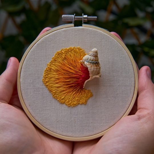 Bethany Duffy, Sunsets, 2020. 10cm (4") diameter. Stumpwork and thread painting. Cotton calico, stranded cotton, real shell. Photo: Chris Howarth