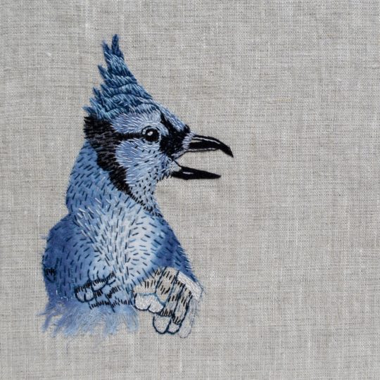 April Sproule, Blue Jay Sampling (detail). 2021. 25cm x 20cm (10” x 8”). Hand appliqué, hand embroidery, stencilling. Linen, cotton and cotton embroidery floss.