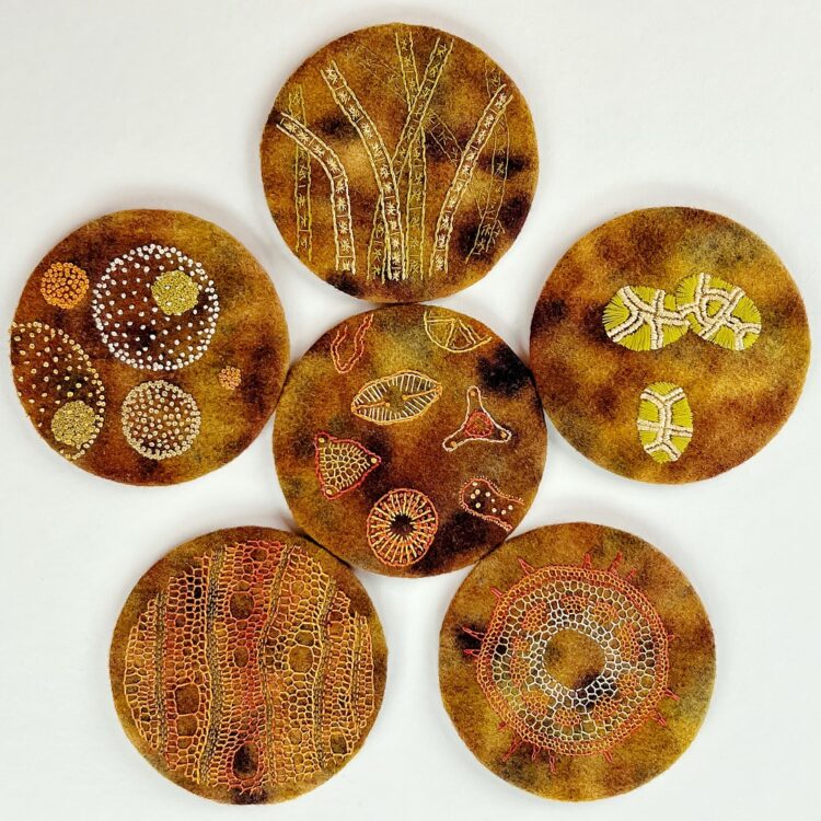 Mirjam Gielen, Microscope studies, 2018. 13cm diameter (5"). Eco printing, embroidery. Eco printed wool, embroidery threads.