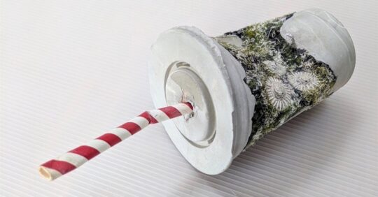 Nerissa Cargill Thompson, Because The Straw was the Problem, 2020. 22cm x 10cm x 10cm (8½" x 4" x 4"). Embellished and embroidered recycled fabrics cast with concrete in a found cup with original paper straw.