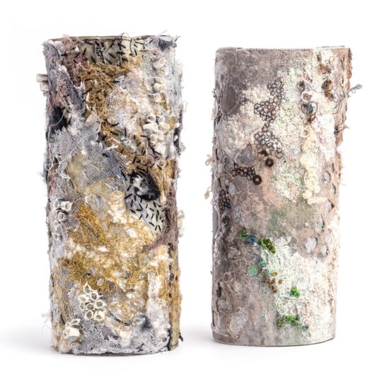 Marian Jazmik, Lichen on Rock 1 & 2, 2018. 25cm x 8cm (10" x 3") each. Lichen on Rock 1: Dyed interfacing, scrim and Dipryl. Free machining. Applied dyed and cut paper straws and wool snippets. Hand embroidery using seeding stitch. Lichen on Rock 2: Dyed interfacing with sparsely applied EXpandIT for 3D texture. Free machining and cut back appliqué. Applied rusty washers. Overlaid on painted handmade paper. Hand embroidered with French knots. Photo: Michael Wicks.