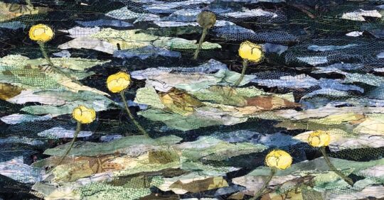 Alice Frost, Yellow Spot, 2013. 40cm x 50cm (15½" x 19½"). Layering fabrics, free machine embroidery. Cotton, tulle, thread.