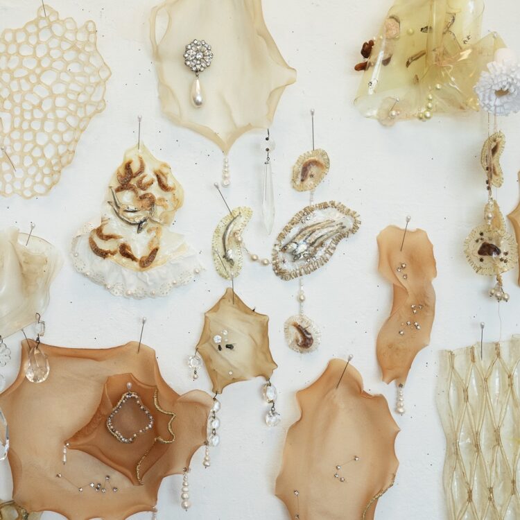 Brendan O’Shaughnessy, Aphrodisiacs, 2023. Various sizes. Embroidery, hand stitch, bio-textile production. Algae-based edible bio-textile, flies, lace, shellfish, sardines, rhinestones, pearls, thread, embroidery floss, pins. Photo: William Toney.