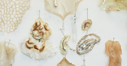 Brendan O’Shaughnessy, Aphrodisiacs, 2023. Various sizes. Embroidery, hand stitch, bio-textile production. Algae-based edible bio-textile, flies, lace, shellfish, sardines, rhinestones, pearls, thread, embroidery floss, pins. Photo: William Toney.