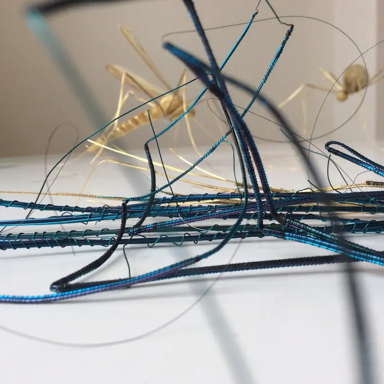 Bridget Bailey, Insect legs in progress, 2017
