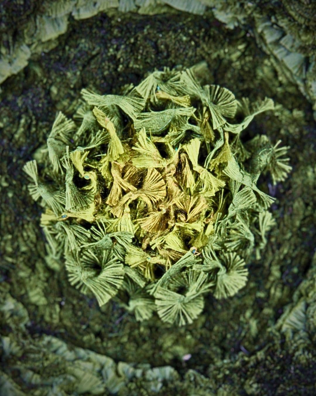 Close up image of a green textured piece of textile artwork