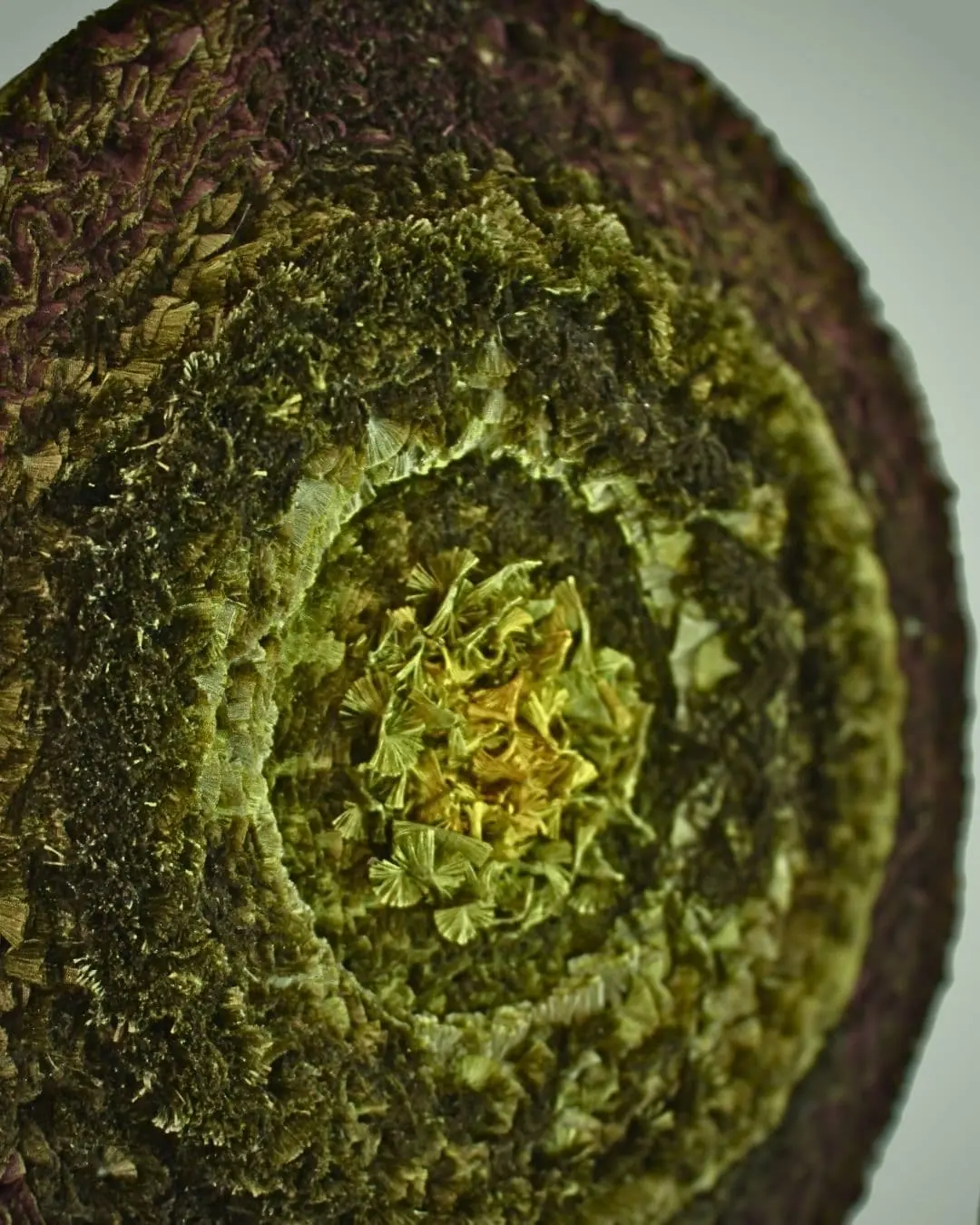 Circular textured textile artwork with earthy tones.