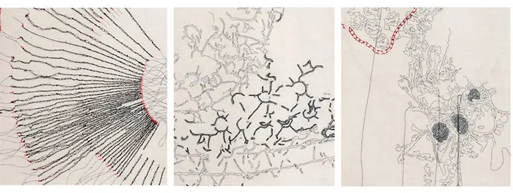 Carlos e Bartlett, Backwards, forwards, detail