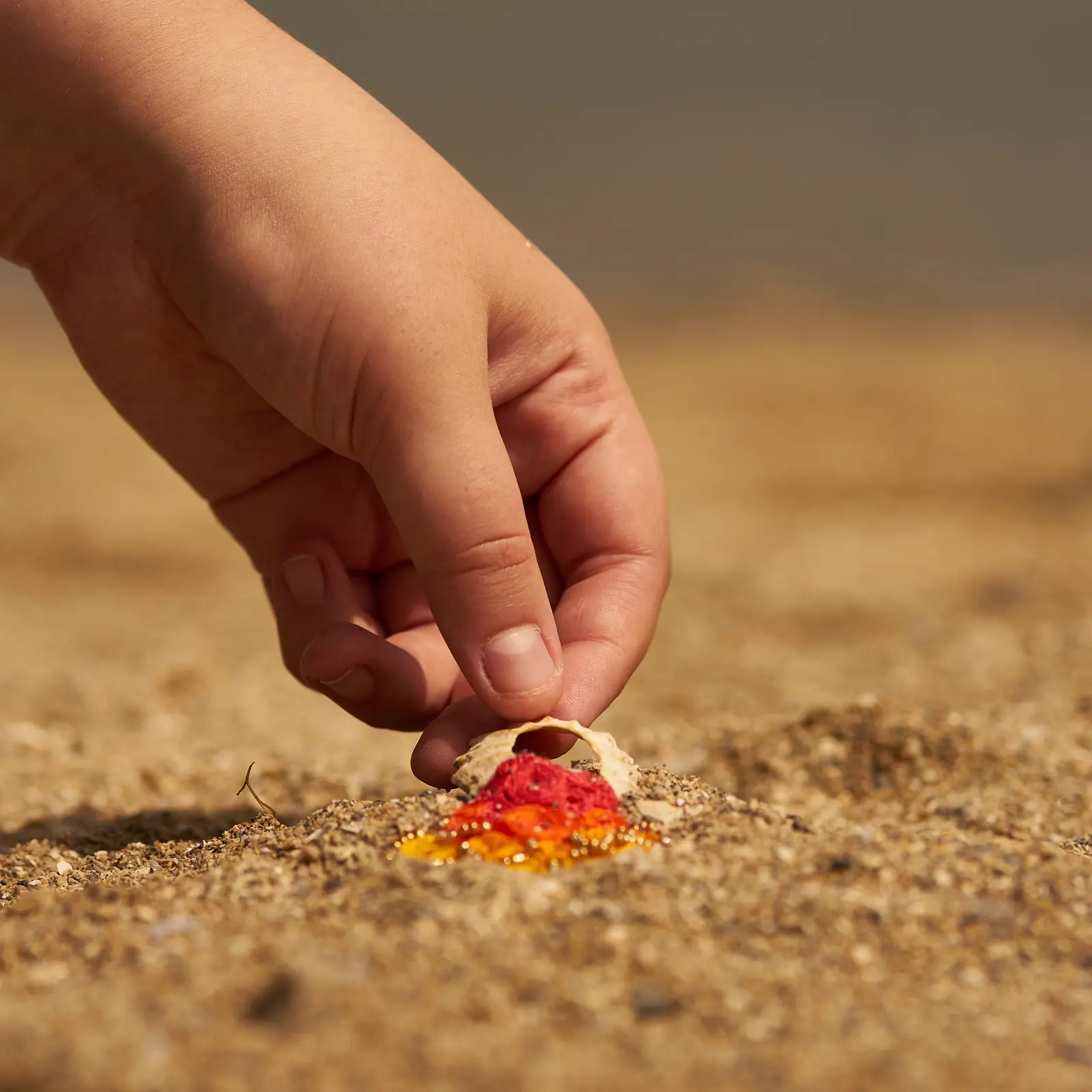 A hand picking up a an embroidered shell in the sand