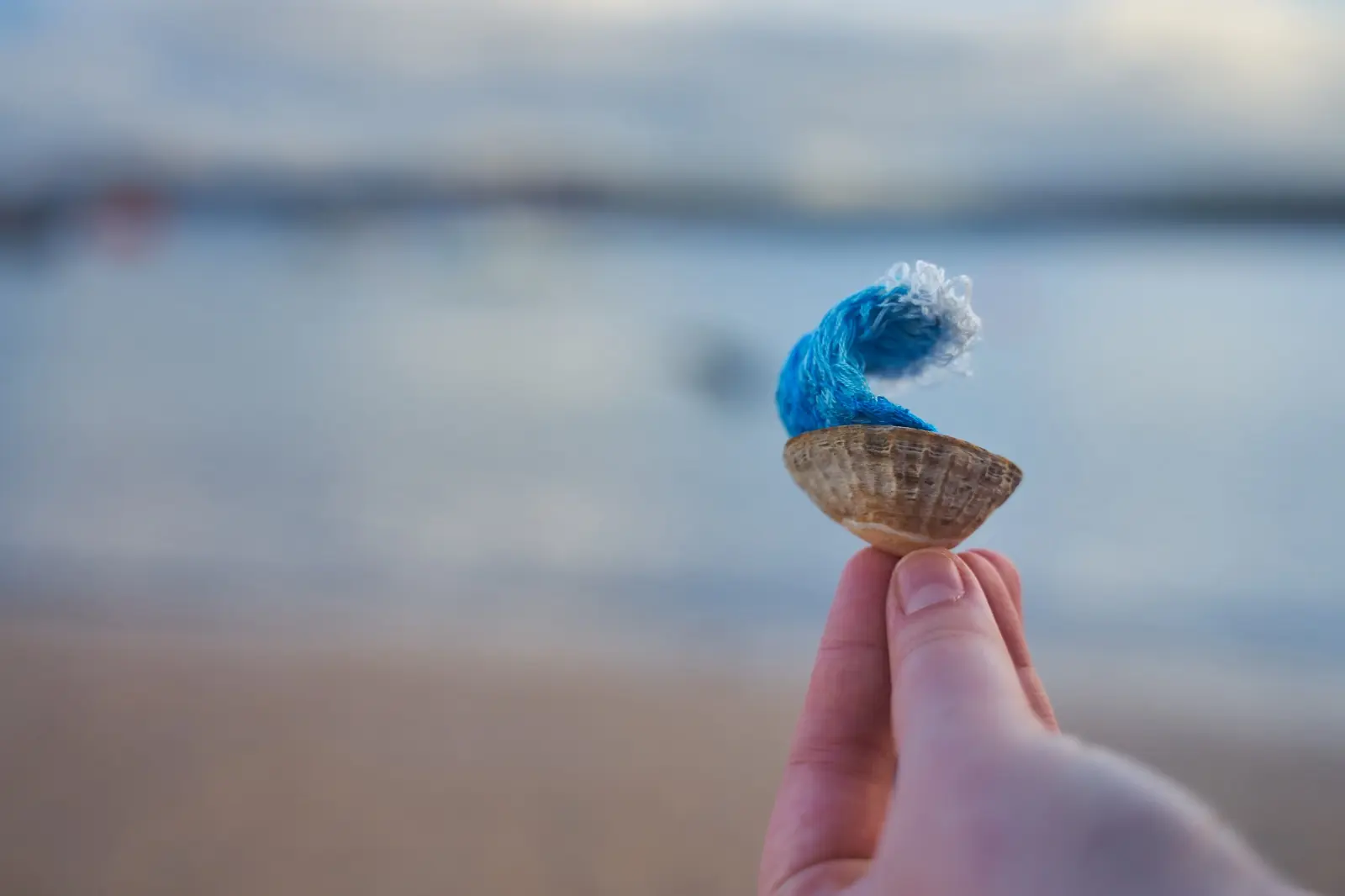 A hand holding a seashell with a blue thread wave in the middle