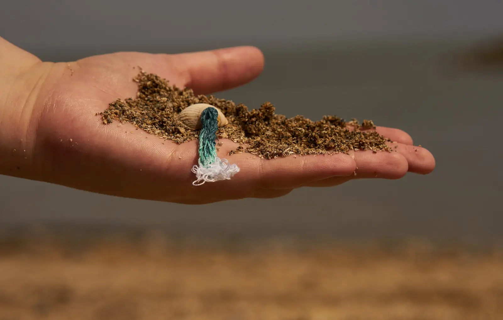 A hand holding a pile of sand and a shell with thread coming out of it
