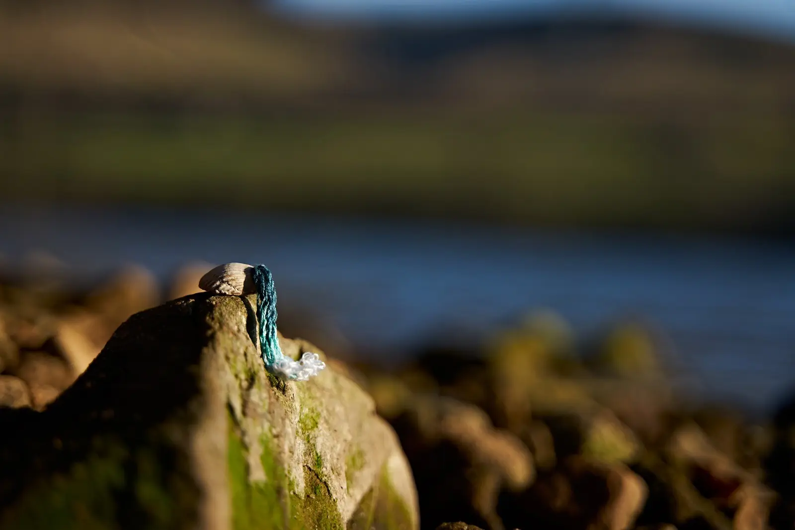 A shell with embroidery on a rock