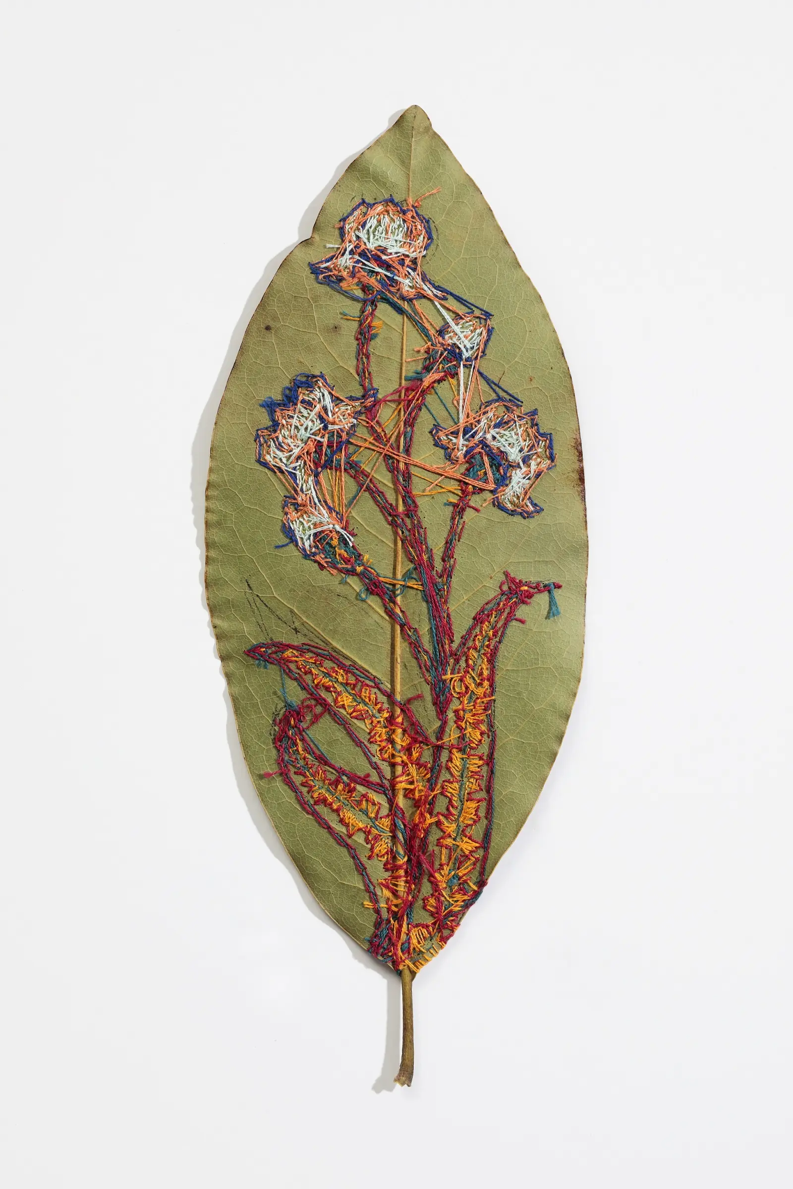 Hillary Waters Fayle, Blooms for Grace (back detail), 2020. Each leaf is approximately 28cm x 11cm (11" x 4½"). Couching. Embroidery thread, magnolia leaf. Photo: David Hunter Hale